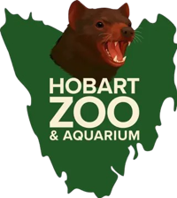 图片 20250711124611 128 Removebg Preview